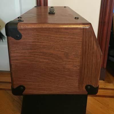 Traynor TS-50 Vintage Amplifier Head in Custom Cab image 8