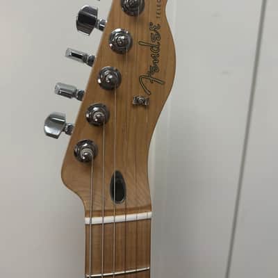 Fender Ltd Ed Player Telecaster with Roasted Maple Fretboard - Sienna Sunburst image 3