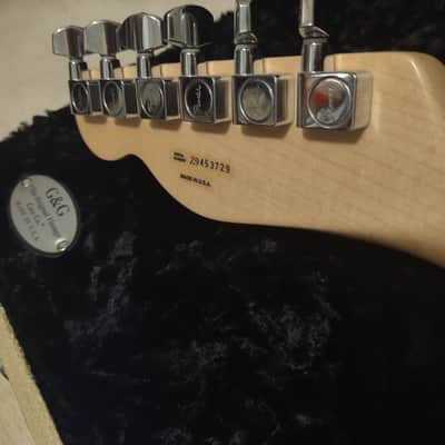 2009 Fender Telecaster USA Highway One (Hwy 1 Tele) w/Waylon Jennings-style Custom Leather Cover/Wrap & G&G Hard Case image 15