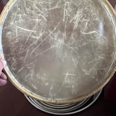 Calf skin drum head 14” calf skin snare side 60s image 3