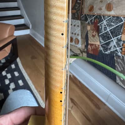 Nash T-Master Telemaster 2009 - Butterscotch image 10