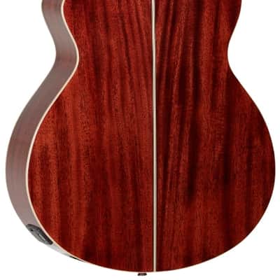TANGLEWOOD GUITARRA ACÚSTICA TANGLEWOOD TW4BLB SERIE WINTERLEAF BLONDE image 2