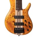 Cort A5PLUSSCAOP Artisan Series Swamp Ash Body, 5-String, New, Free Shipping