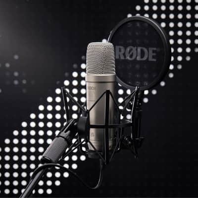 RODE NT1 5th Generation Large-Diaphragm Studio Condenser Microphone with 32-Bit Float Digital Output and XLR and USB Connectivity (Silver) image 4