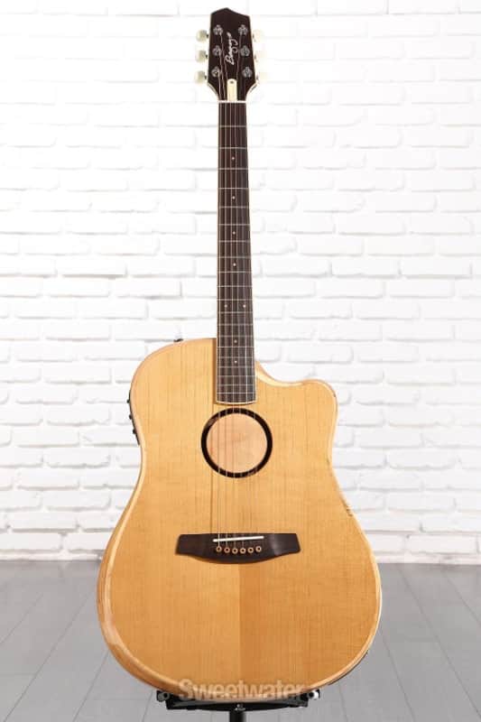 LR Baggs AEG-1 Acoustic-electric Guitar - Torrefied Spruce Top (AEG1Trfd1) image 1