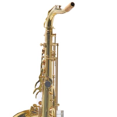 Antigua Winds TS3108LQ Intermediate Tenor Saxophone in Lacquer SN UTS040036 image 13