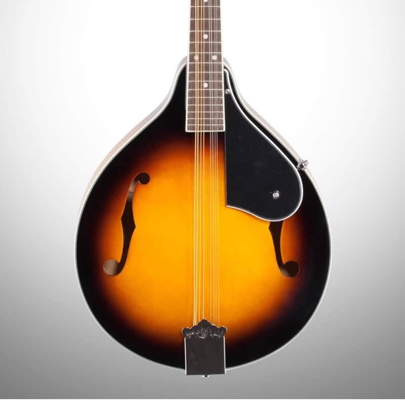 Washburn M1 Mandolin Pack with Gigbag image 1