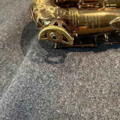 Viking M60 Valkyrie Legend Series Alto Saxophone - Recently Serviced image 14