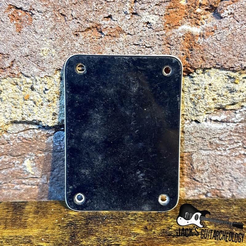 1970s Epiphone Screw Cover Vintage