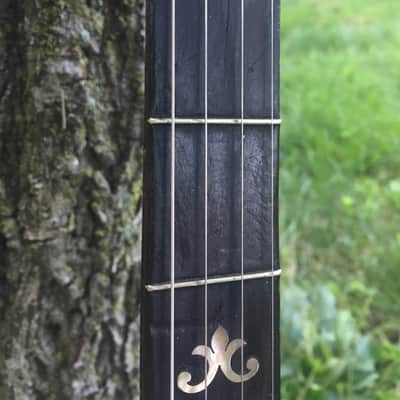 Vintage Kay Archtop / Bruno Banjo Conversion image 3