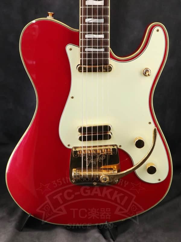 Fender Japan Terry-1 ANNIVERSARY Mod image 1