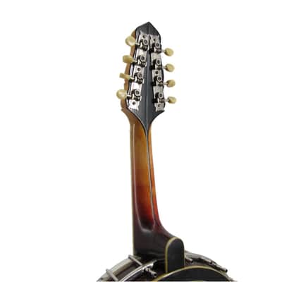 Vintage Hand-Painted Gibson Banjolin image 7