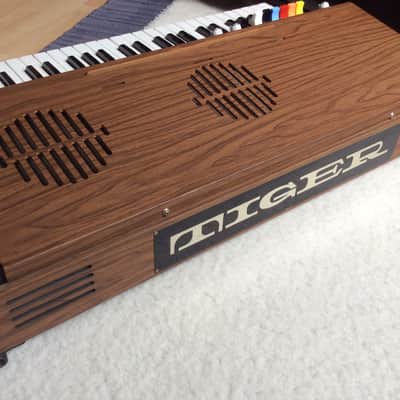 EKO Tiger 3000 . 1970's Organ Combo . Amber Wood Vintage Analogue Electric piano - made in Italy image 8