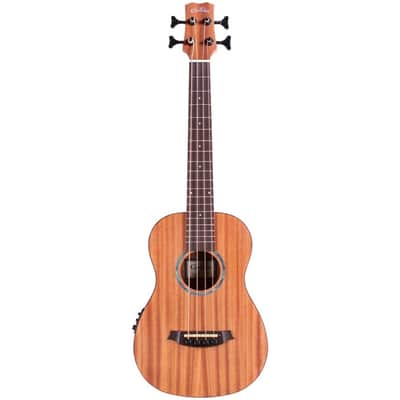 Cordoba Mini II MH-E Acoustic-Electric Bass, Natural