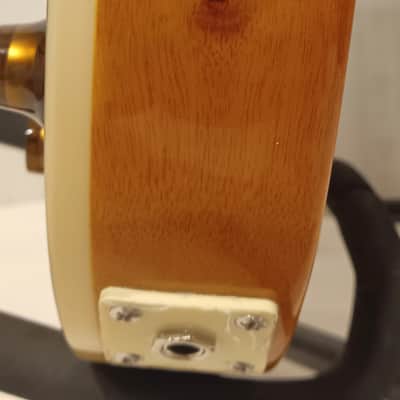 Firefly FFSPS-GD-90-1005 Classic Series Electric Guitar - Gold image 10