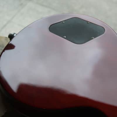 VINTAGE V100 ProShop Logan J Parker, GIGBAG, 4,06 KG image 12