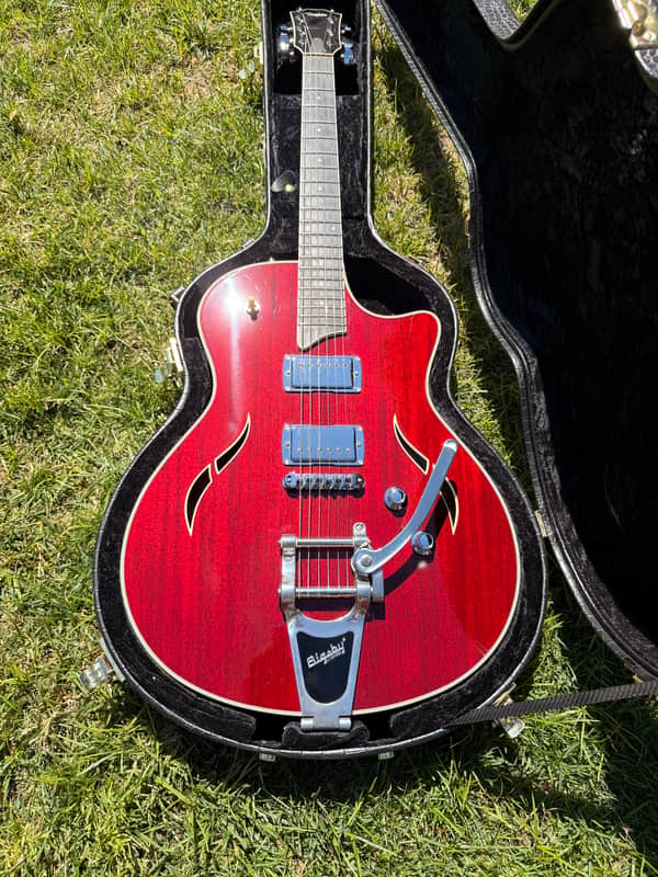 Taylor T3B 2010 - Cherry Fall limited edition image 1