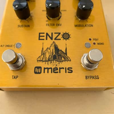 Meris Enzo 2018 - Gold image 3