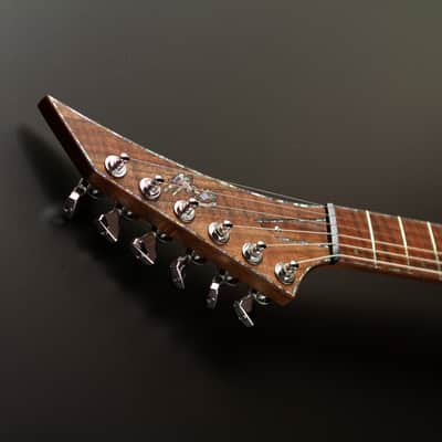 Hoff Guitars Valnut (Neck-Through, Multi-Scale, Semi-Hollow V 2024 - Polymerized Tung Oil image 15