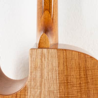Santiago Bajo Quinto Walnut image 14