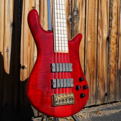 Spector Euro 5 LX Maple Fingerboard – Black Cherry Gloss 5-String Electric Bass Guitar image 6
