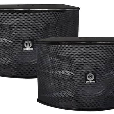 Singtronic Professional 3000W Complete Karaoke System Built in Anti-Feedback image 4