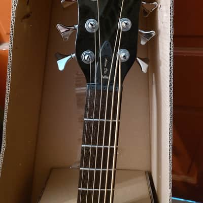 Left handed 6 string Warwick Alien Acoustic bass deluxe image 2