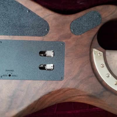 Washburn N4 Walnut Mourning Windows Inlays Proto Davies 2.0  2010 Nuno Bettencourt Signature image 11