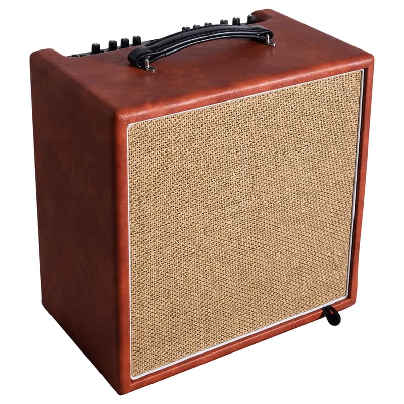 Recording King AR-A60 Songwriter 60 Amplifier Accoustic & Voice Amp image 1