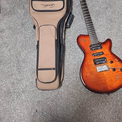 Godin xtSA 2010s - Light Burst image 5