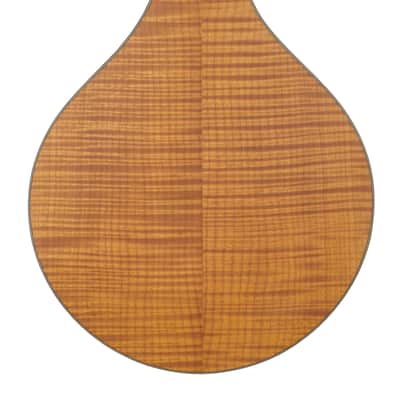 Bourgeois M5-A Mandolin #M0623106 image 6