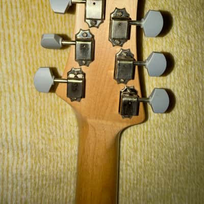 PRS Silver Sky Limited Edition 2020 - Nebula image 3