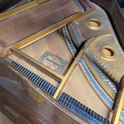 Young Chang Baby Grand Piano - Polish Walnut image 3