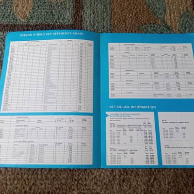 Vintage 1971 Gibson Strings Catalog! Rare, Original Case Candy, Paperwork! image 2