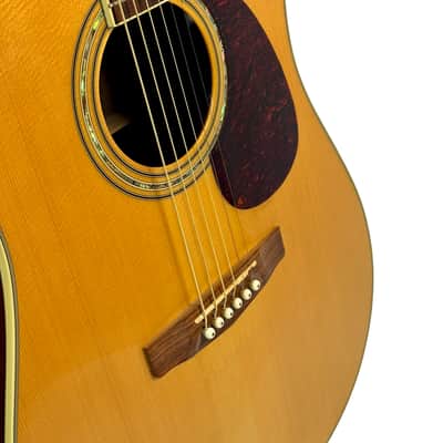 Cort Earth 200 Electro Acoustic Guitar from 2003 image 5