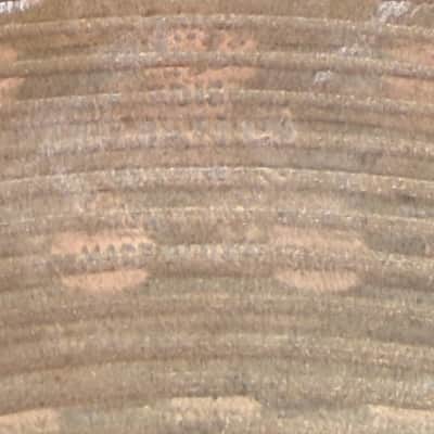 Zildjian ZHT 10" Splash Cymbal 10 Inch image 5