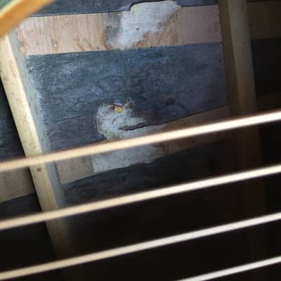MARQUIS HARMONY Acoustic Guitar image 15