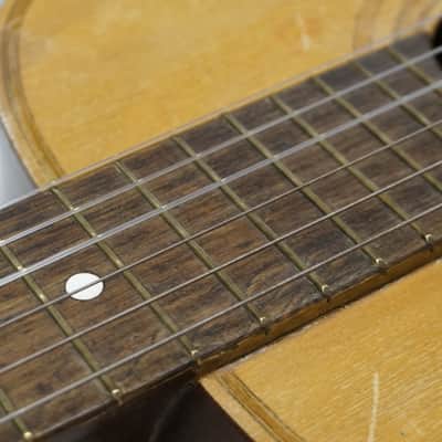 Giannini  Model No. 2  1966 image 12