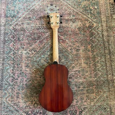 Hinrix concert ukelele 2023 image 2