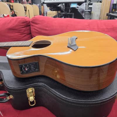 Breedlove Focus Acoustic Electric with Case 2001 - Natural image 9