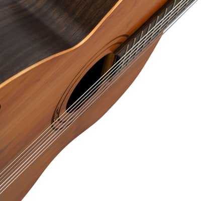 Ortega R16PC Traditional Series Solid Cedar Top Beechwood Neck Nylon 4/4 Size 6-String Classical Acoustic Guitar image 10