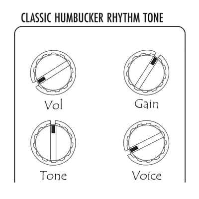 Warm Audio Warmdrive Legendary Amp-In-A-Box Overdrive Pedal Overdrive Pedal image 8