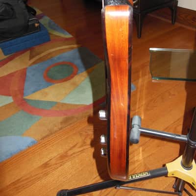 Modulus Neck Thru Pre TBX Short Scale Built like an Alembic Graphite neck thru 1980's Cocobolo image 4