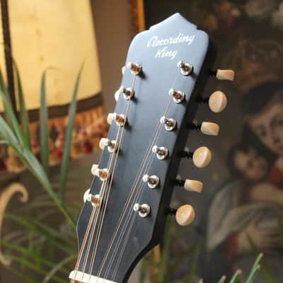 RECORDING KING "Dirty 30s Series 9 12-String Dreadnought" image 3
