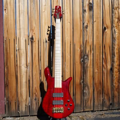 Spector Euro 5 LX Maple Fingerboard – Black Cherry Gloss 5-String Electric Bass Guitar image 2