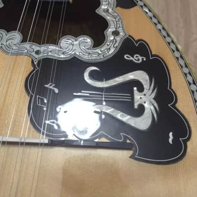 Greek Bouzouki & Hardcase & pickup & tuner & 300 MP3 backing track with pdf scores 8string image 5