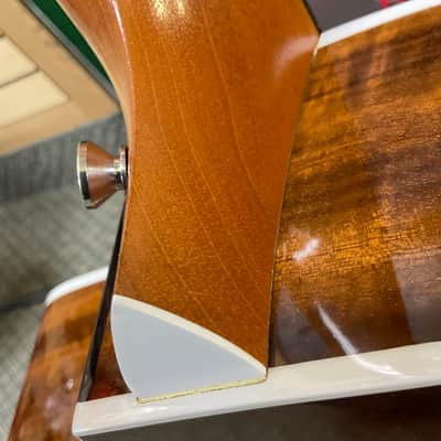 Taylor 214ce DLX 2018 image 12