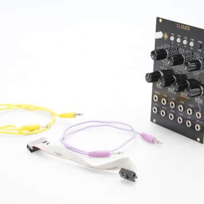 Mutable Instruments Clouds Oscillosaurus Panel Black/Gold Eurorack Module #52406 image 9