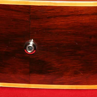 Vintage Japanese Made Gamma 12 String Acoustic Electric  Guitar image 7