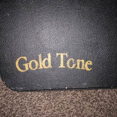 Gold Tone case for ES-Banjitar Electric Solid Body Hard Rock Maple Neck 6-String Banjo-Guitar Ohsc image 2